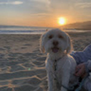 Meet your Posher, Morgan